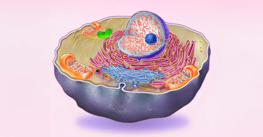 An immersive learning simulation of a cell structure. 